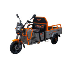 Nákladná e-trojkolka PILOT 3110G, sivá