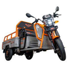 Nákladná e-trojkolka PILOT 3110G, sivá