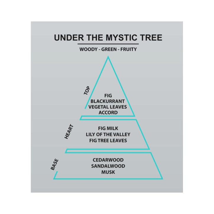 Vonná sviečka Under The Mystic Tree v skle 120 g