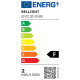 LED žiarovka E14, 2 W, 6500 K, 180 lm, hruška