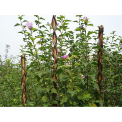 Oporná tyč pre rastliny 190 cm Garden Willow prútená