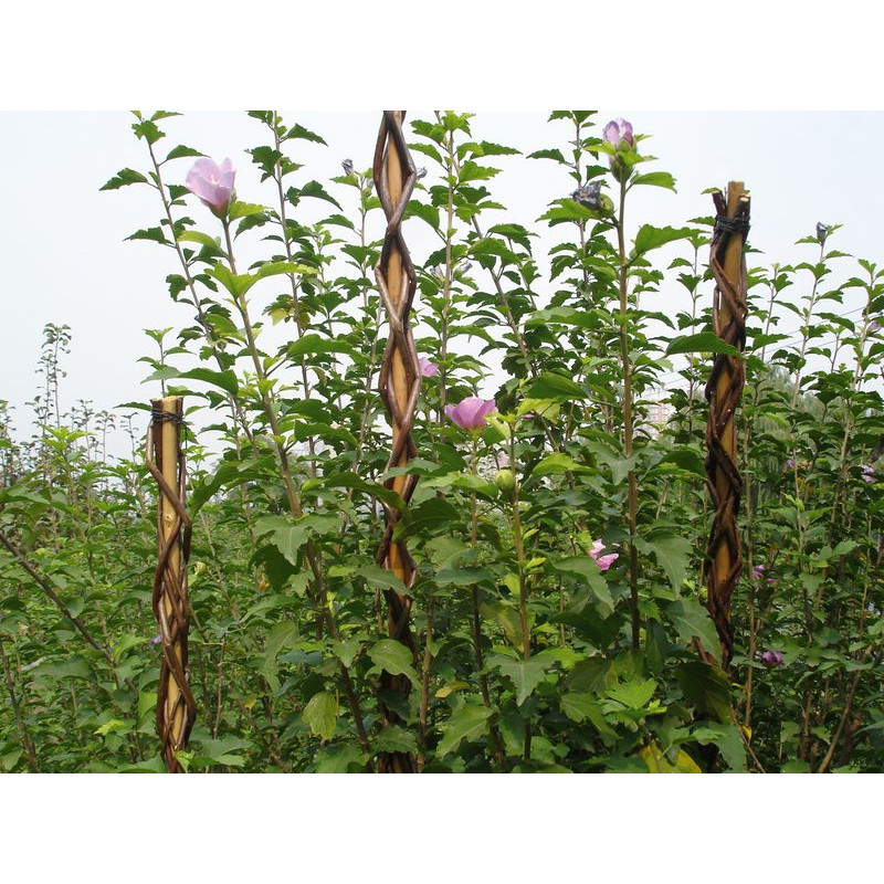 Oporná tyč pre rastliny 130 cm Garden Willow prútená