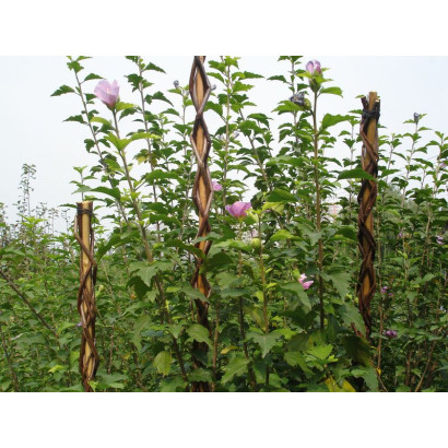 Oporná tyč pre rastliny 130 cm Garden Willow prútená