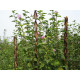 Oporná tyč pre rastliny 130 cm Garden Willow prútená