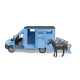Bruder Preprava zvierat Mercedes-Benz Sprinter s koníkom / 02674