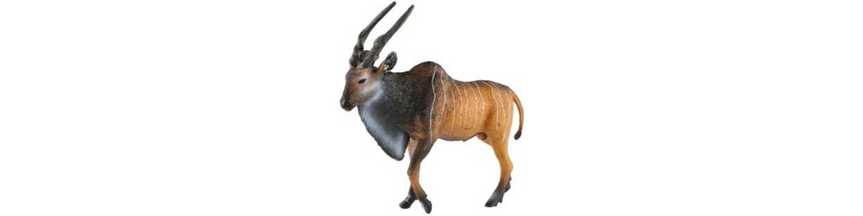 Zvieratá